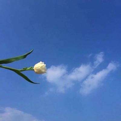 闹闹天宫手游九游版下载