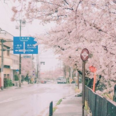 我的女友是妲己2手机版(暂未上线)v1.0 官方安卓版