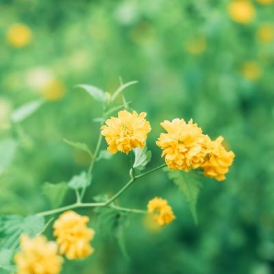 挂江湖之逆水录内购破解版下载